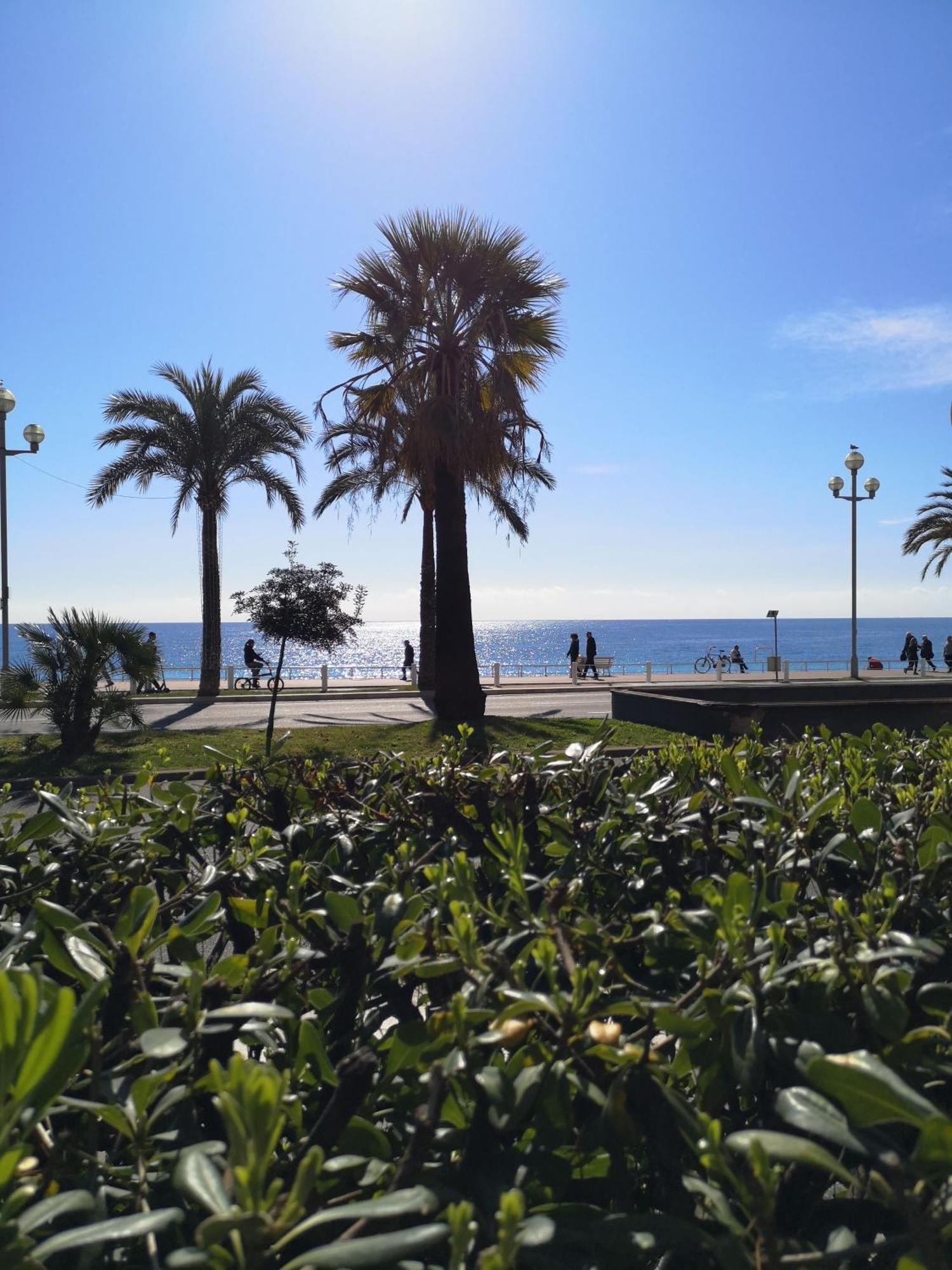 Ferienwohnung Garden Atlantide Promenade Nizza Exterior foto