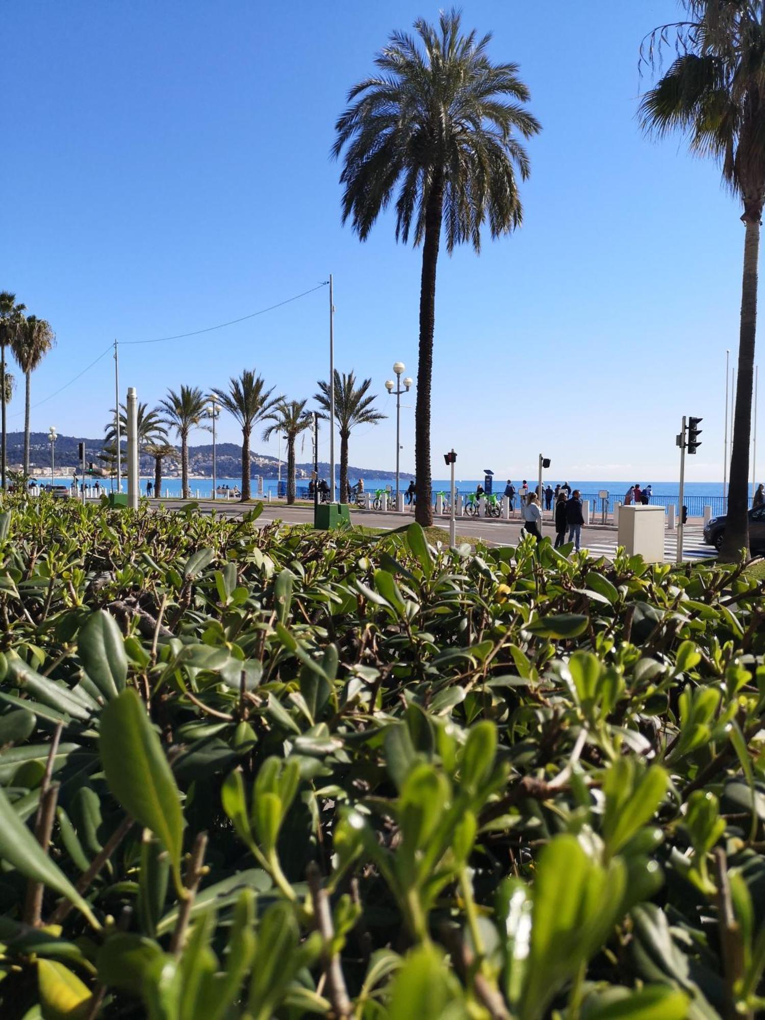 Ferienwohnung Garden Atlantide Promenade Nizza Exterior foto