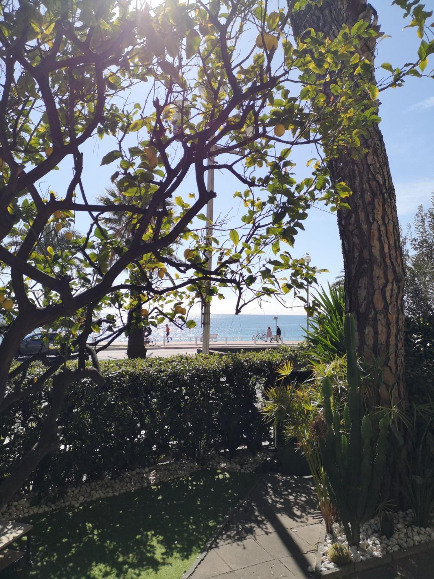 Ferienwohnung Garden Atlantide Promenade Nizza Exterior foto