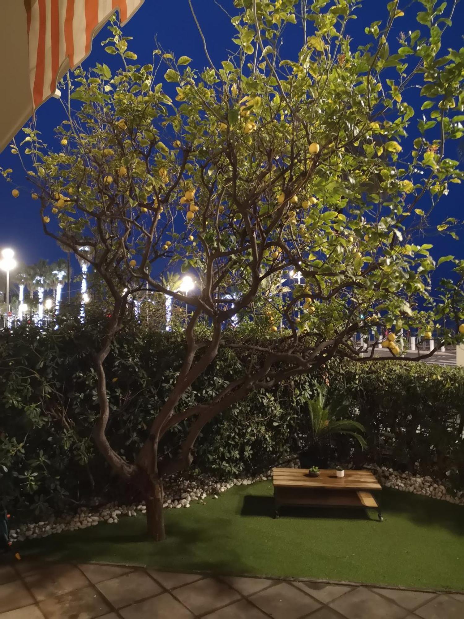 Ferienwohnung Garden Atlantide Promenade Nizza Exterior foto