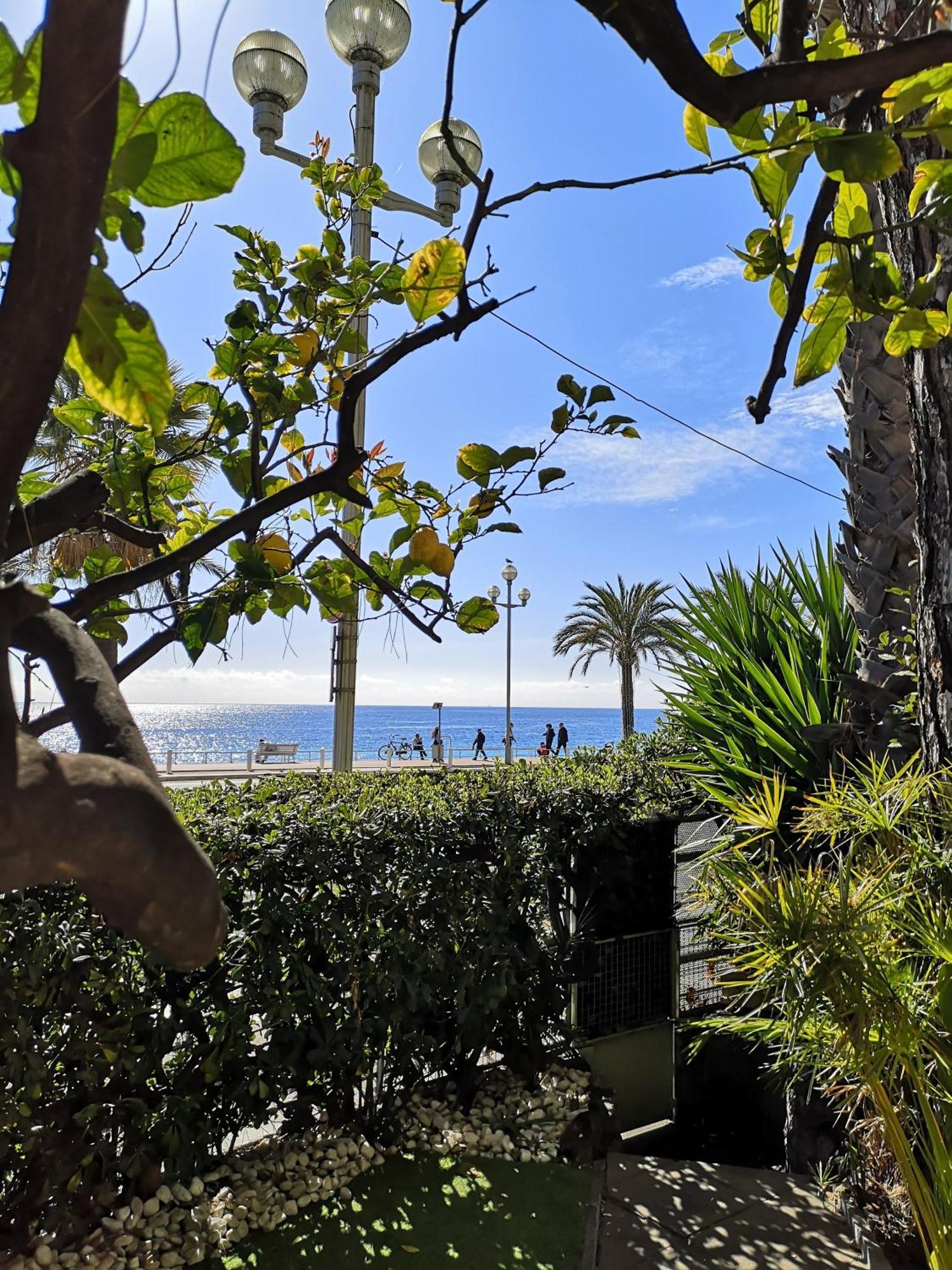 Ferienwohnung Garden Atlantide Promenade Nizza Exterior foto