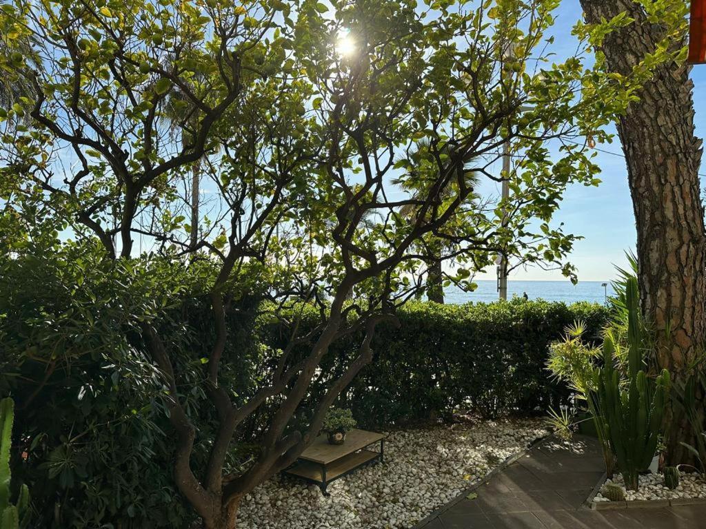 Ferienwohnung Garden Atlantide Promenade Nizza Exterior foto